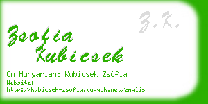 zsofia kubicsek business card