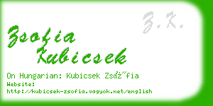 zsofia kubicsek business card